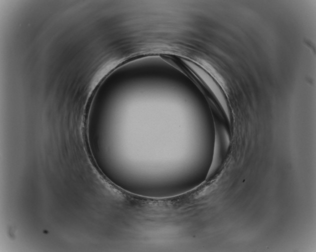 X0000092100901200709121542