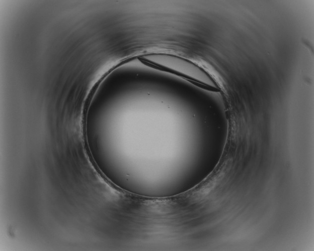 X0000092100902200709121542