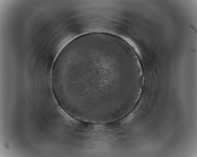 X0000092100903200709121542