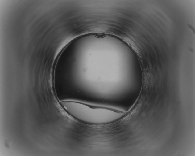 X0000092100904200709121542