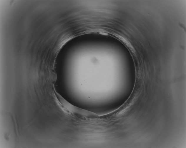 X0000092100905200709121542