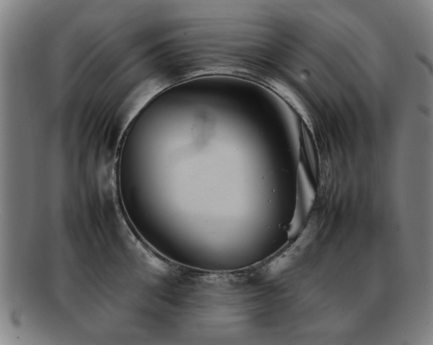 X0000092100906200709121542