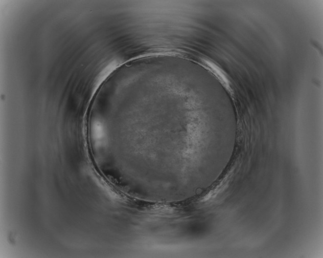 X0000092100907200709121542