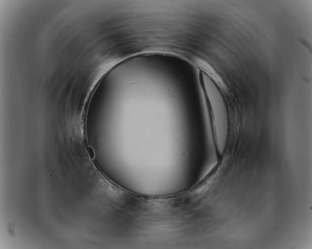 X0000092100908200709121542