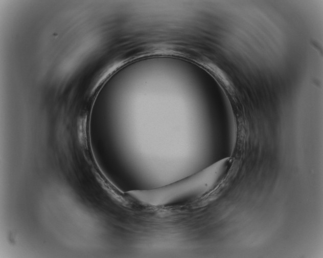 X0000092100910200709121542