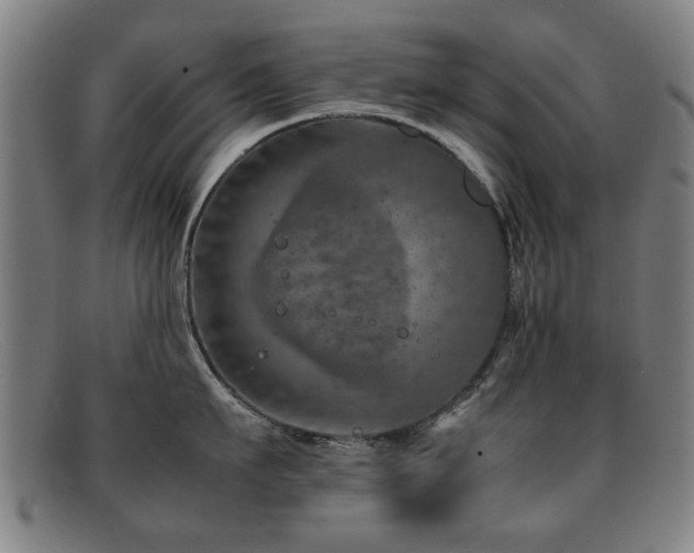 X0000092100911200709121542