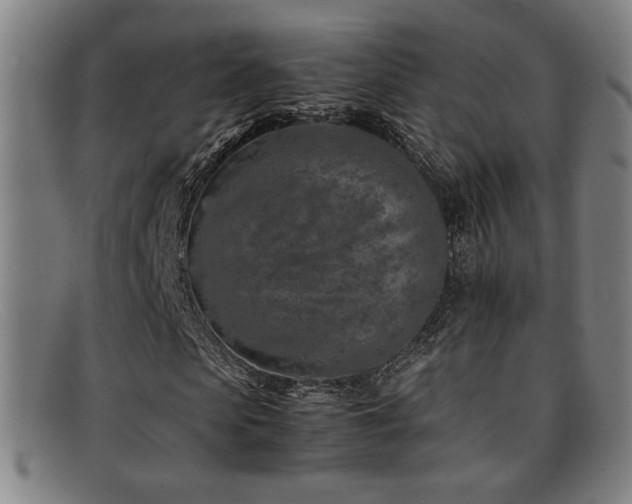 X0000092100913200709121541