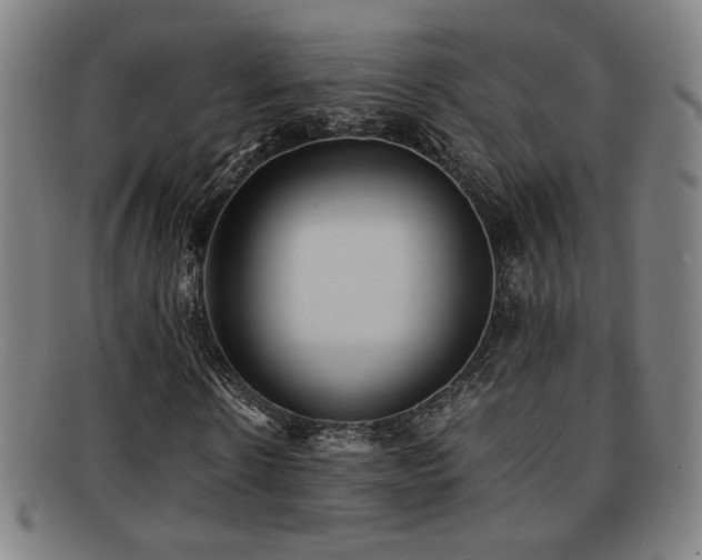 X0000092100914200709121541
