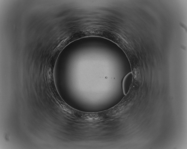 X0000092100915200709121541