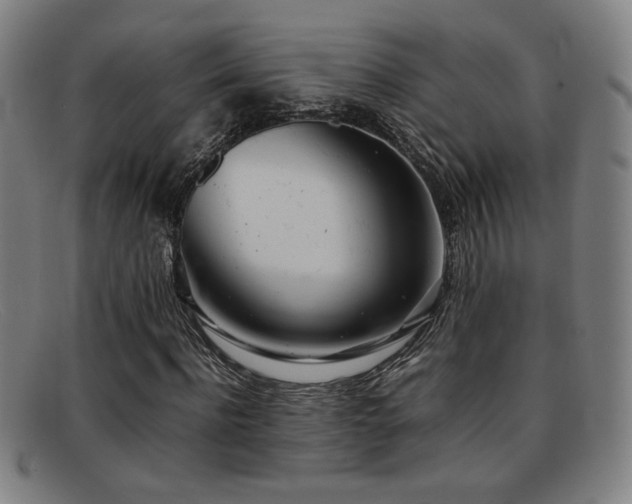 X0000092100916200709121541