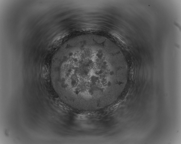 X0000092100917200709121541