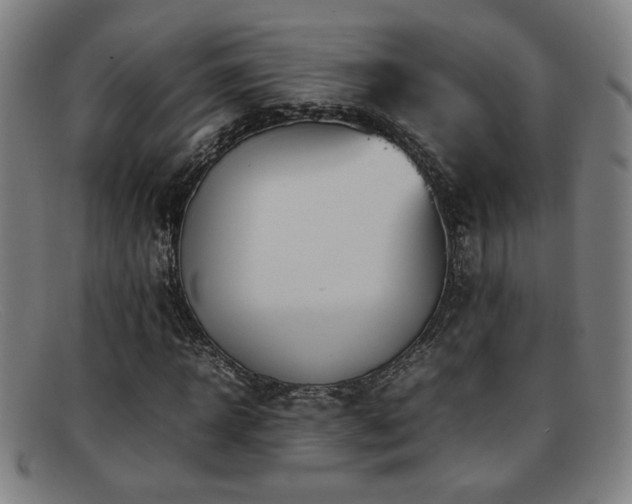 X0000092100918200709121541