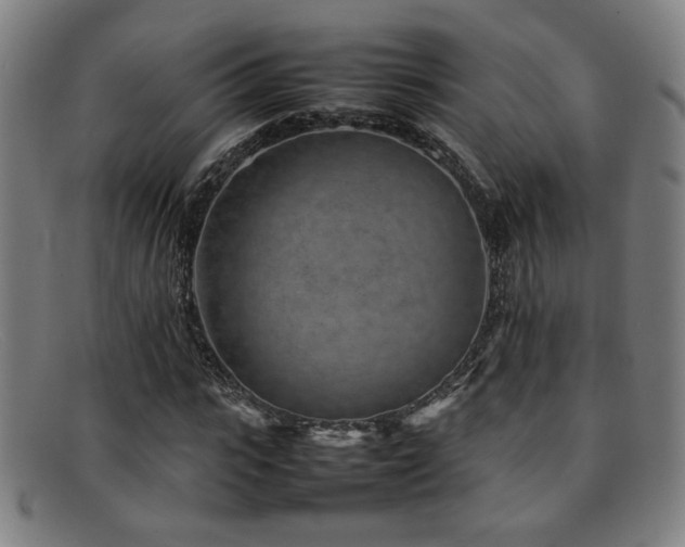 X0000092100919200709121541