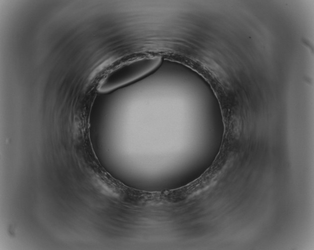 X0000092100920200709121541