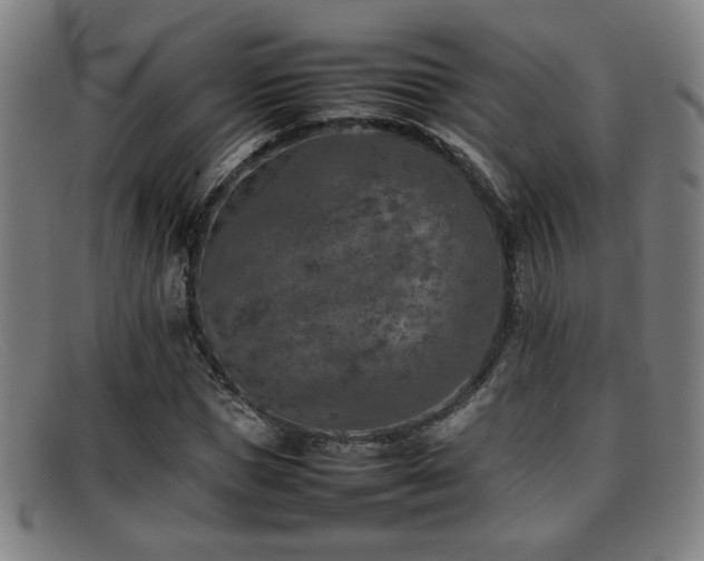 X0000092100921200709121541