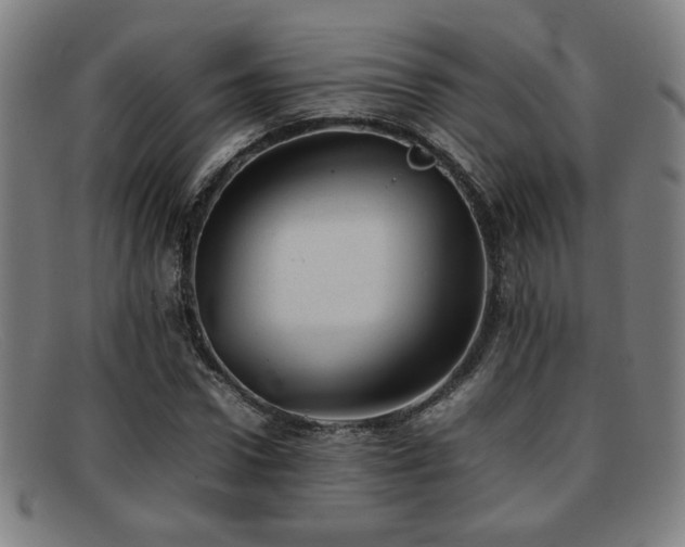 X0000092100922200709121541