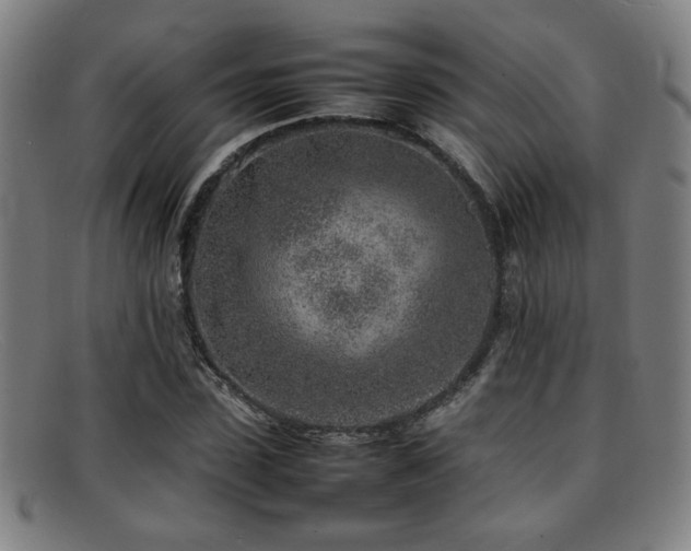 X0000092100923200709121541