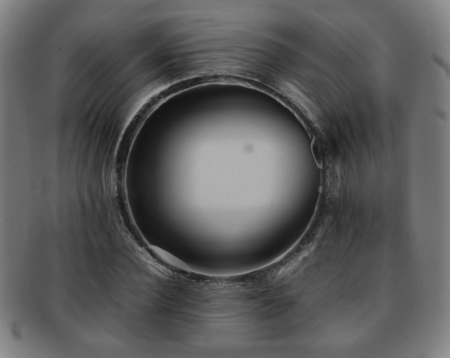 X0000092100924200709121541