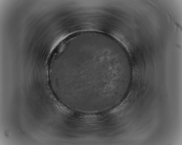 X0000092100925200709121541