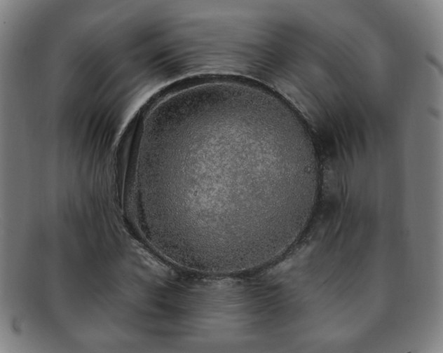 X0000092100926200709121541