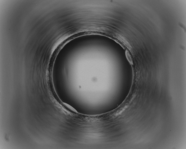 X0000092100928200709121541