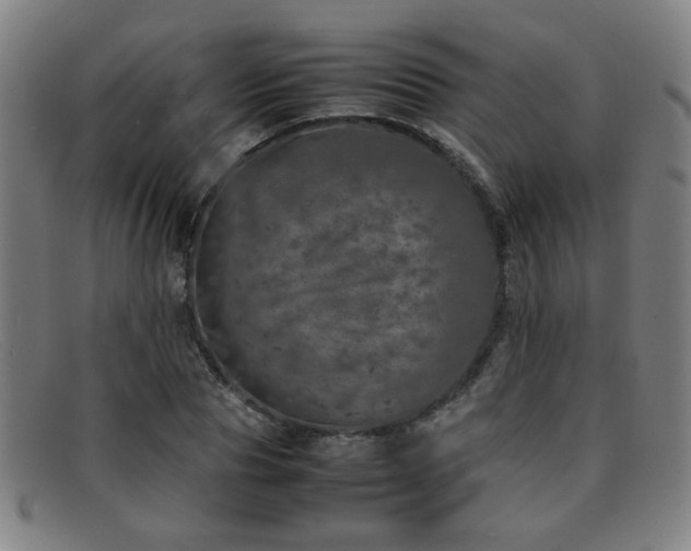 X0000092100929200709121542