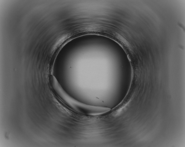 X0000092100930200709121542
