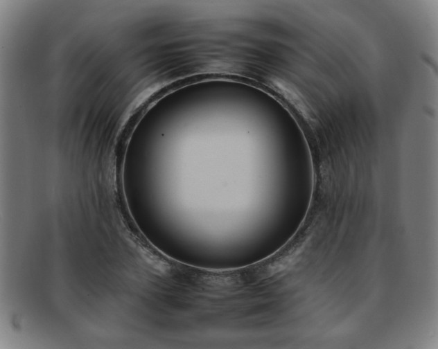 X0000092100931200709121542