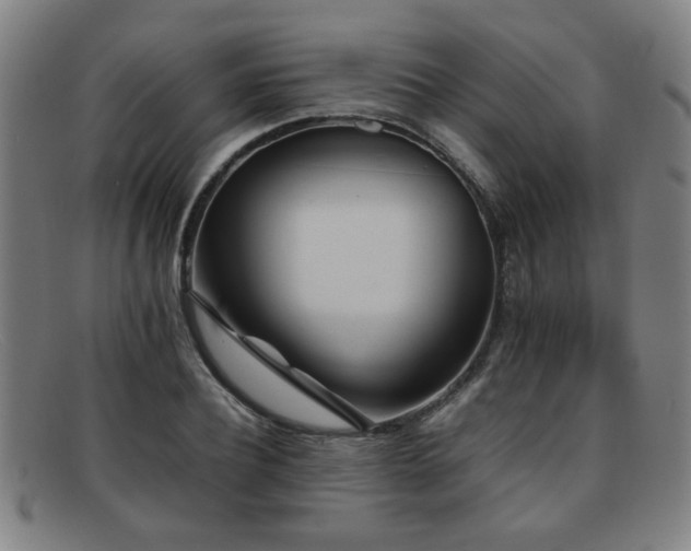 X0000092100932200709121542