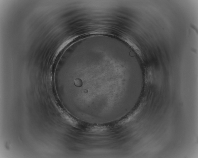 X0000092100933200709121542