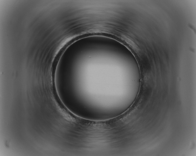 X0000092100934200709121542
