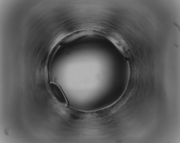 X0000092100936200709121542
