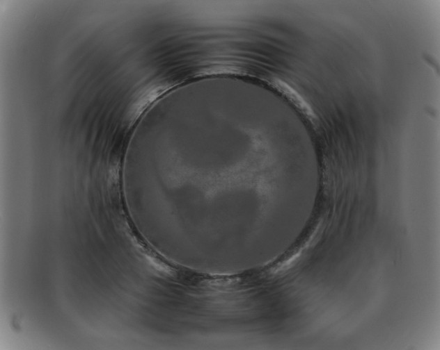 X0000092100937200709121542