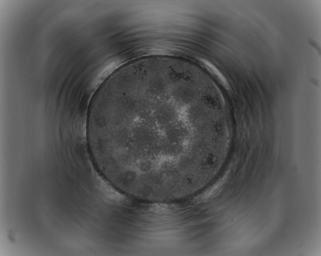 X0000092100938200709121542