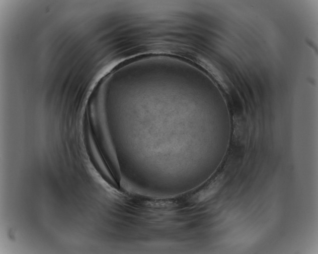 X0000092100939200709121542