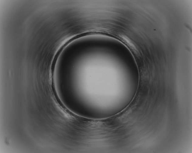 X0000092100940200709121542