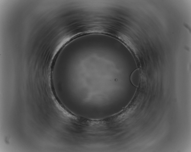 X0000092100941200709121542