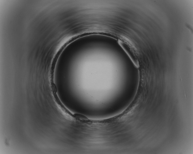 X0000092100942200709121542