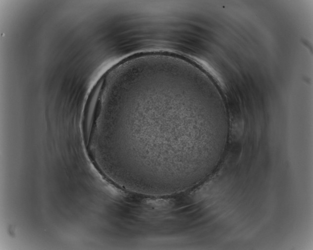 X0000092100943200709121542