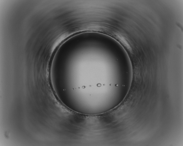 X0000092100944200709121542