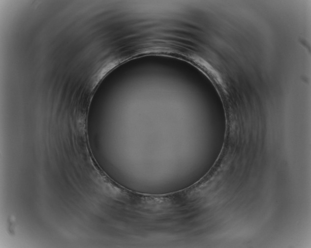 X0000092100945200709121542