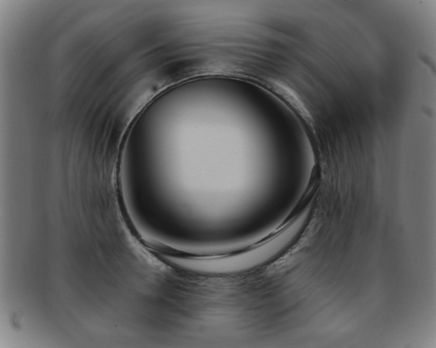 X0000092100946200709121542