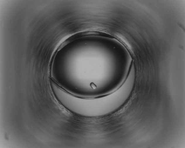 X0000092100948200709121542