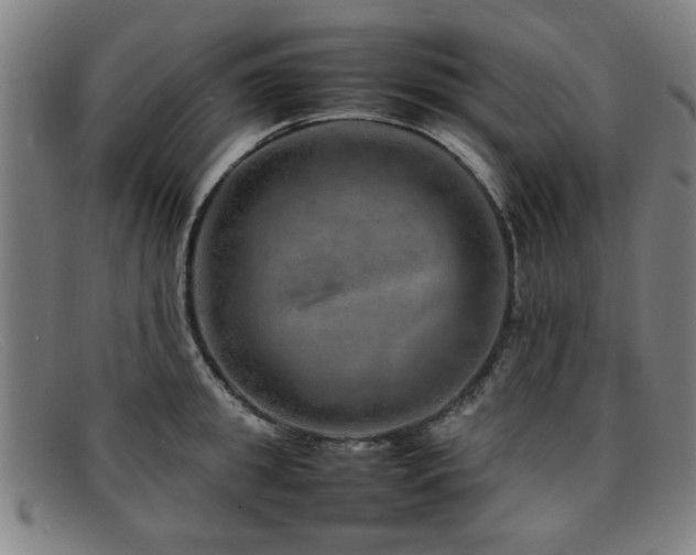 X0000092100949200709121542