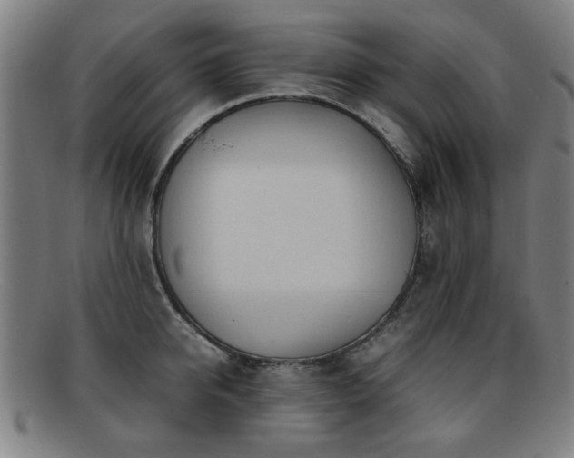 X0000092100950200709121542