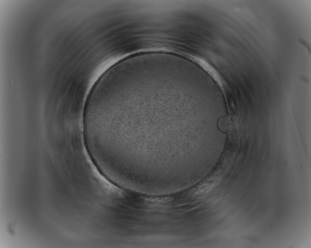 X0000092100951200709121542