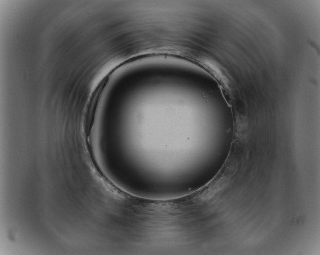 X0000092100952200709121542