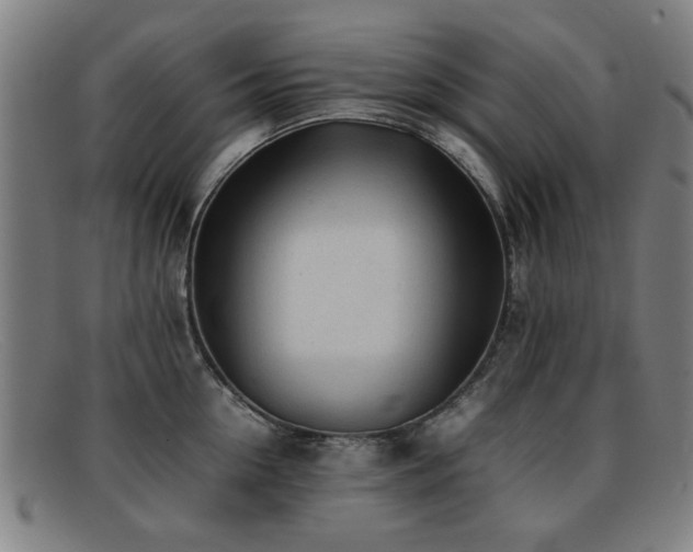 X0000092100954200709121542