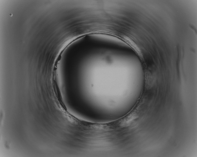X0000092100956200709121542