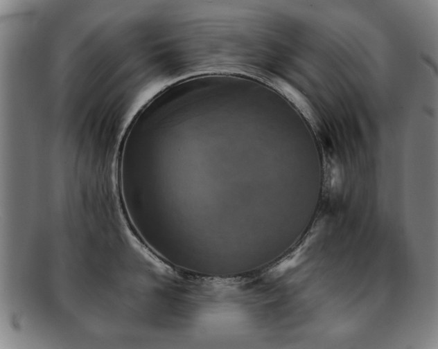 X0000092100958200709121542
